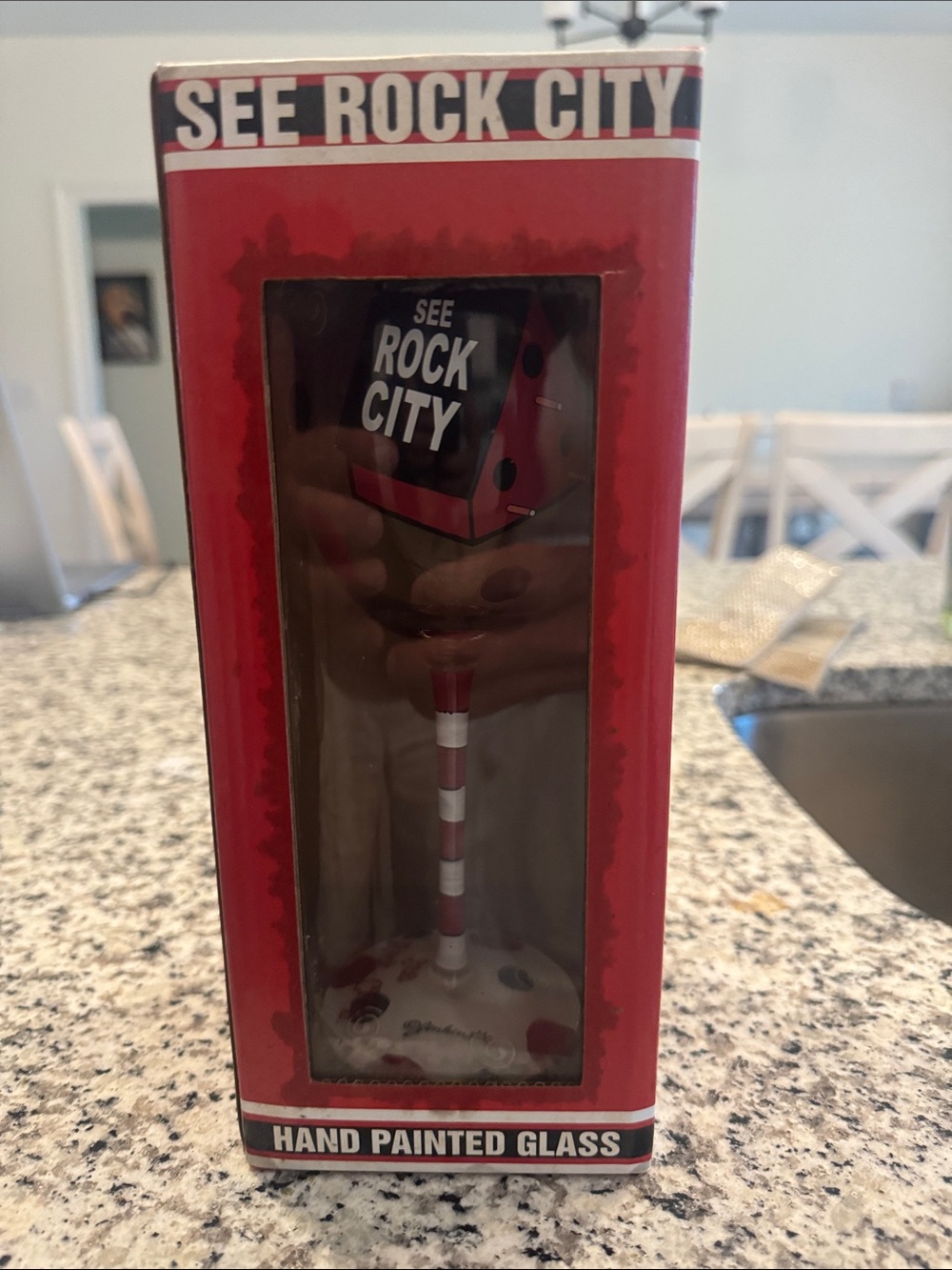 NEW See Rock City Hand Painted Wine Glass Never Opened in Box
